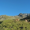 Piz Malmurainza