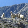 piz mundin